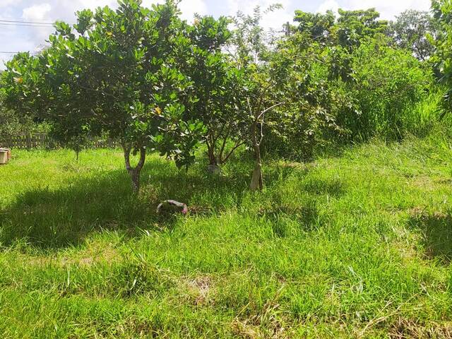 #854 - Chácara para Venda em Tangará da Serra - MT - 2