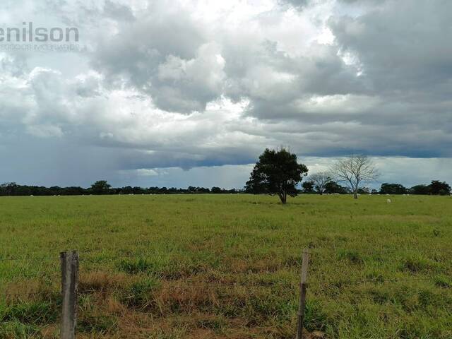 #987 - Fazenda para Venda em Tangará da Serra - MT - 2