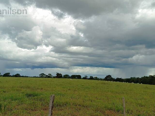 #987 - Fazenda para Venda em Tangará da Serra - MT - 3