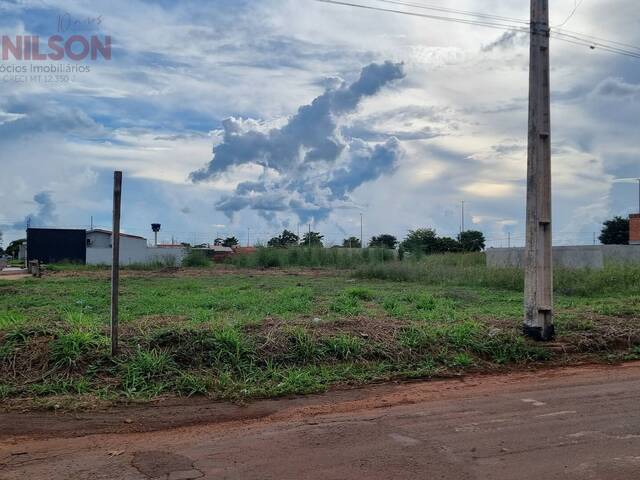 #1233 - Área para Venda em Tangará da Serra - MT - 1