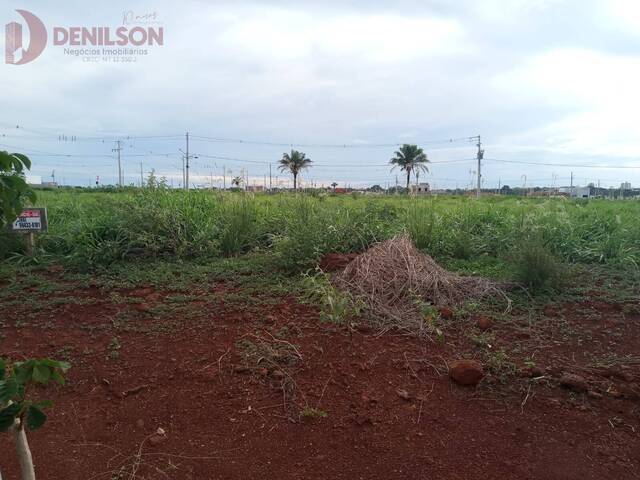 #1260 - Área para Venda em Tangará da Serra - MT
