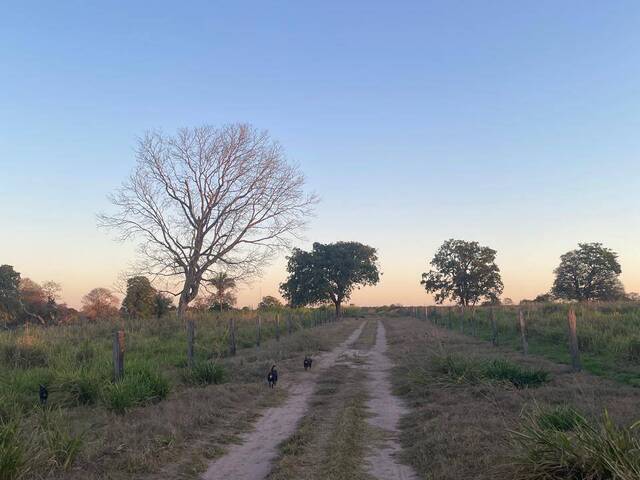 #1333 - Chácara para Venda em Tangará da Serra - MT