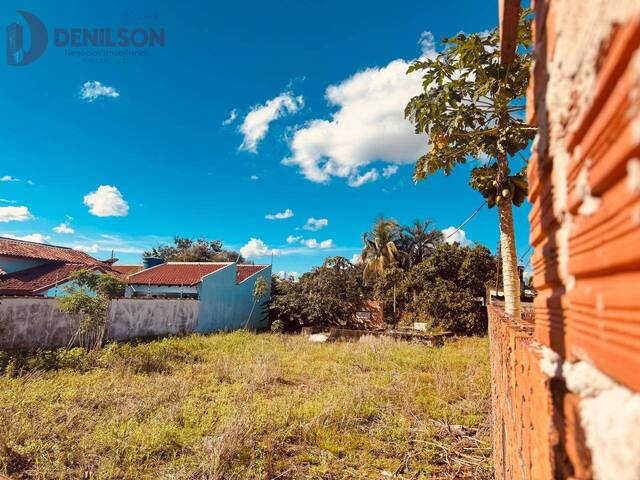 #1360 - Terreno para Venda em Tangará da Serra - MT - 3