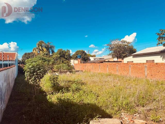 #1360 - Terreno para Venda em Tangará da Serra - MT - 2