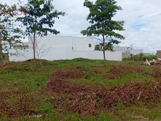 #1363 - Terreno para Venda em Tangará da Serra - MT