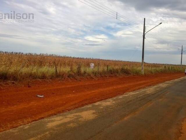 #186 - Área para Venda em Tangará da Serra - MT - 3